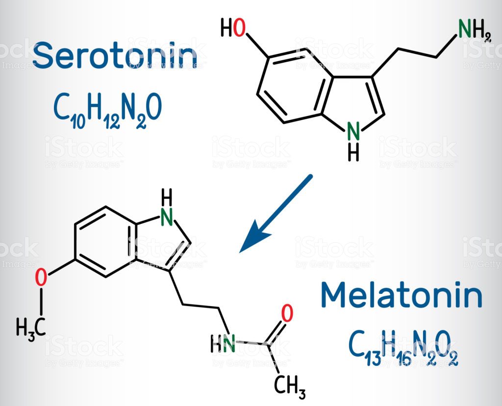Serotonine en melatonine -Serotonine: een belangrijke schakel voor (on)geluk