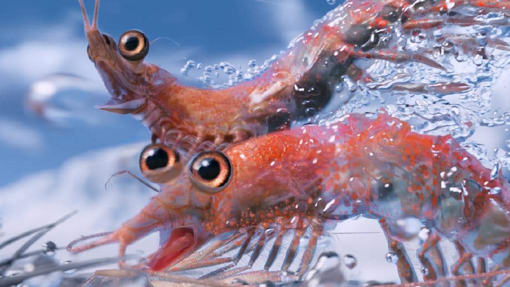 Krill4 -Krill oil is better absorbed than fish oil