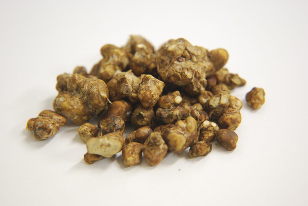 Magic truffels -Wat is truffel therapie?