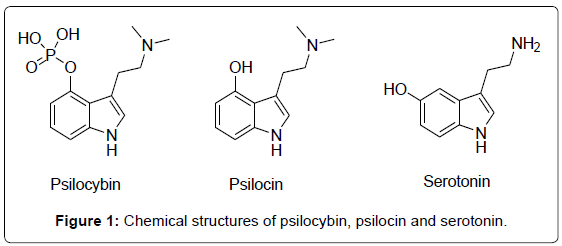 chemische structuur psilocybine psilocine en Serotonine -Onderzoeken naar psilocybine therapie