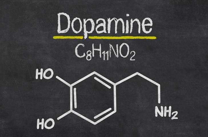 dopamine -Dopamine: more happiness when dopamine is in balance