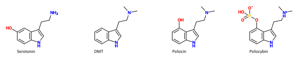 psilocybine dmt serotonine -Psilohuasca, ayahuasca of psilocybine?