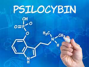 Psilocybin molecule -Forum