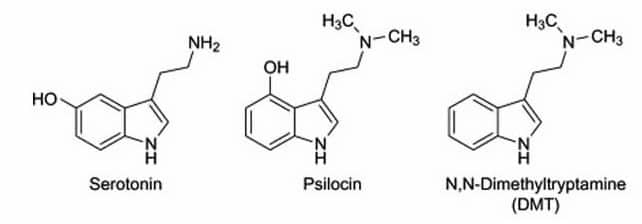 Serotonin psilocin DMT -Why psychedelics and tripping can be medicine