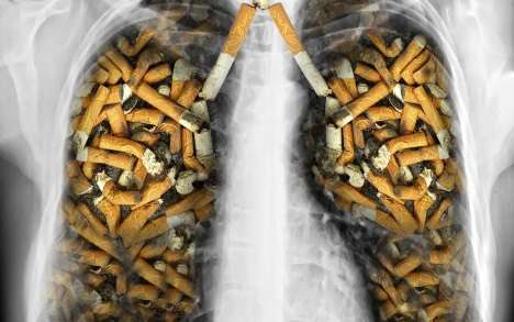 lungs smoking -Psilocybin against smoking addiction and other addictions