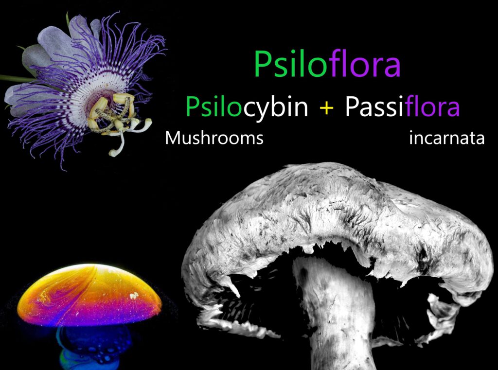 psiloflora -Psiloflora ceremonie