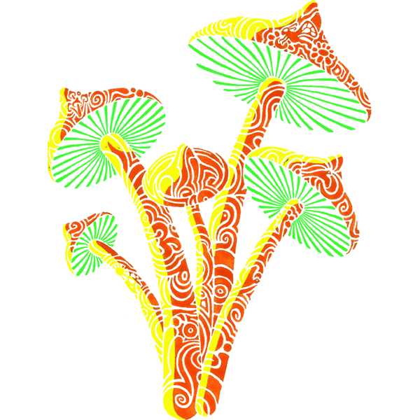 Pilz – Die Rückkehr von Psilocybin als Medizin
