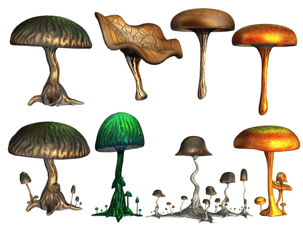 mushrooms -The healing effects of (magical) mushrooms