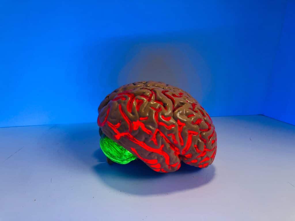 brein -Neurochemie of psychologie?