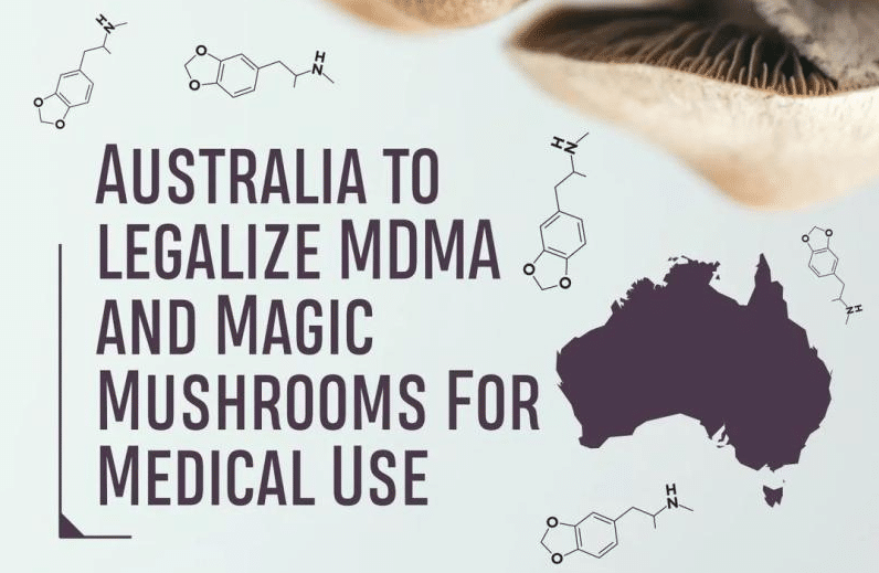 MDMA psilocybin Australia -MDMA and psilocybin classified as drugs in Australia