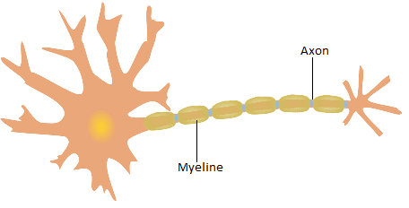 image 5 -Psilocybin against Multiple Sclerosis (MS)?