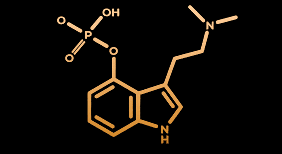 Psilocybin-Molekül orange braun schwarzer Hintergrund - Psychedelische Zeremonien