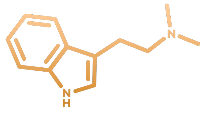 DMT molecuul (ayahuasca)