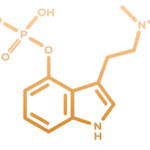 Thérapie à la psilocybine