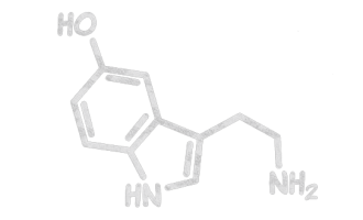 sérotonine