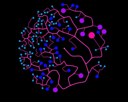 Psilocybine et neuroplasticité